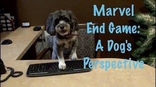 Marvel Avengers EndGame: A Dog's Perspective by MyFavoritePupJasmine 1,887 views 5 years ago 2 minutes, 53 seconds
