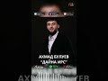 ПРЕМЬЕРА! Ахмад Булуев - Дайна ирс (2026)