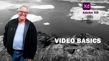The basics of video in Adobe XD