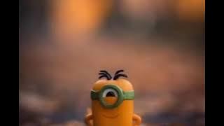 story wa 2021.jangan menilai orang.ingat gudang garam isinya rokok.bukan garam