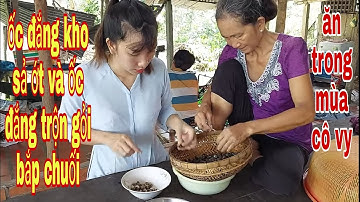 Ốc Đắng Kho Sả Ớt Và Gỏi Bắp Chuối Ăn Vào Mùa Covid - 19 # SĂN BẮT ĐỒNG THÁP #