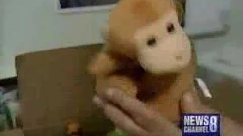 Peace Through Puppets TV Interview