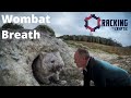 The Problem with Wombat Breath