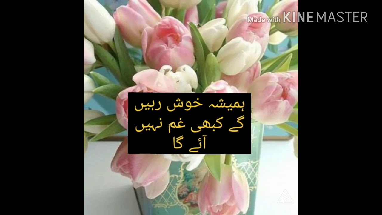 Good Morning World | Subha Bakhair | latest update 2018 - YouTube