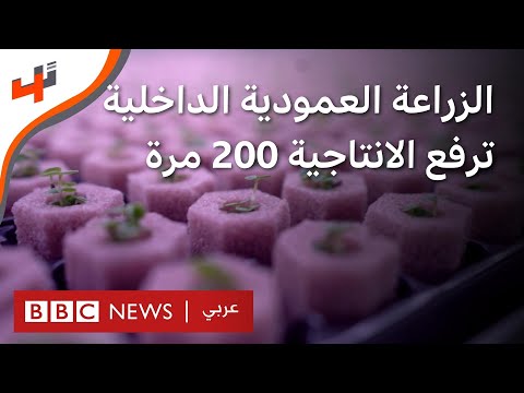 كيف ستغير الزراعة العمودية الداخلية انتاجية الزراعة في المستقبل