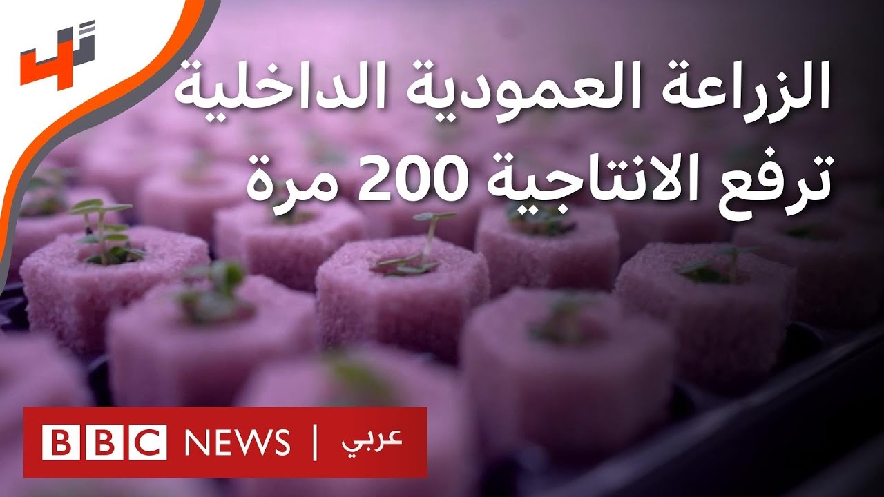 كيف ستغير الزراعة العمودية الداخلية انتاجية الزراعة في المستقبل؟