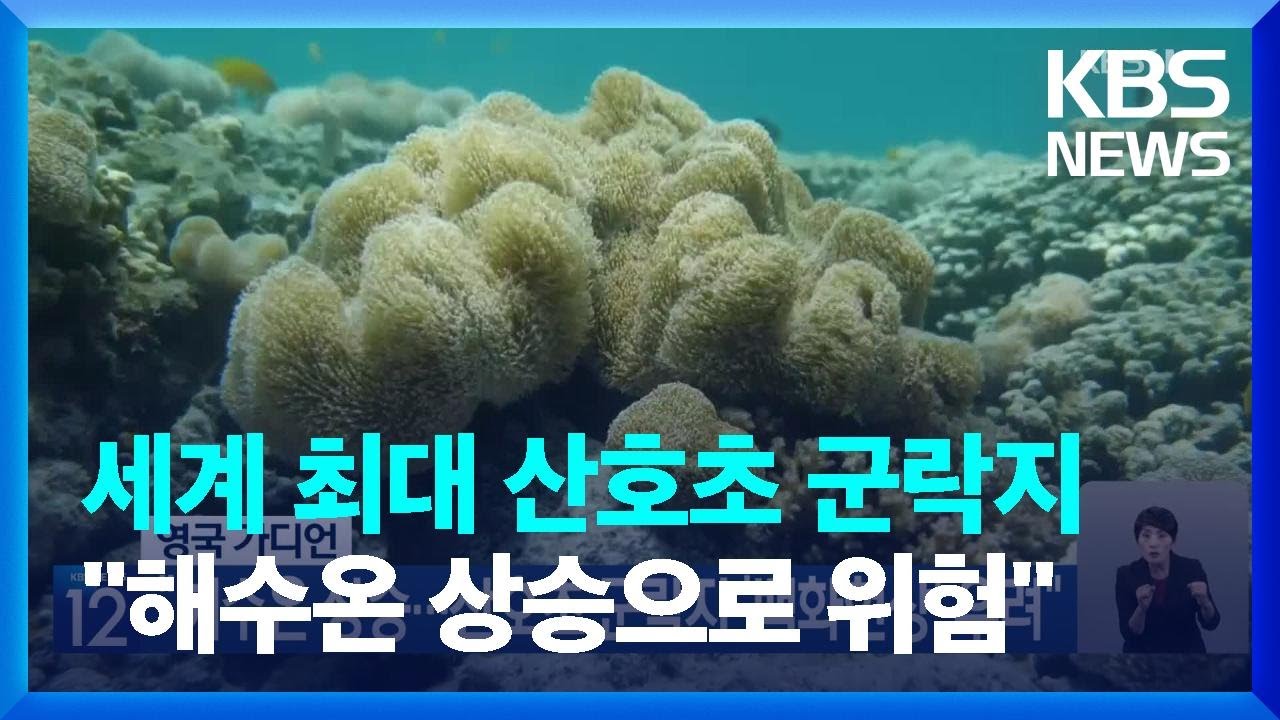 산호초 백화 지도