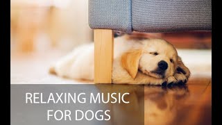 Relaxing Music For Dogs. Anxiety free, Calm Your Dog.