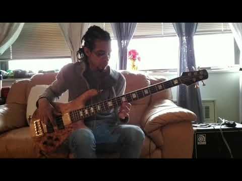 spector-euro5lx-bartolini/emg-comparison