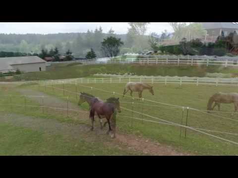 22515 Northeast 88th Street, Vancouver, WA home video tour