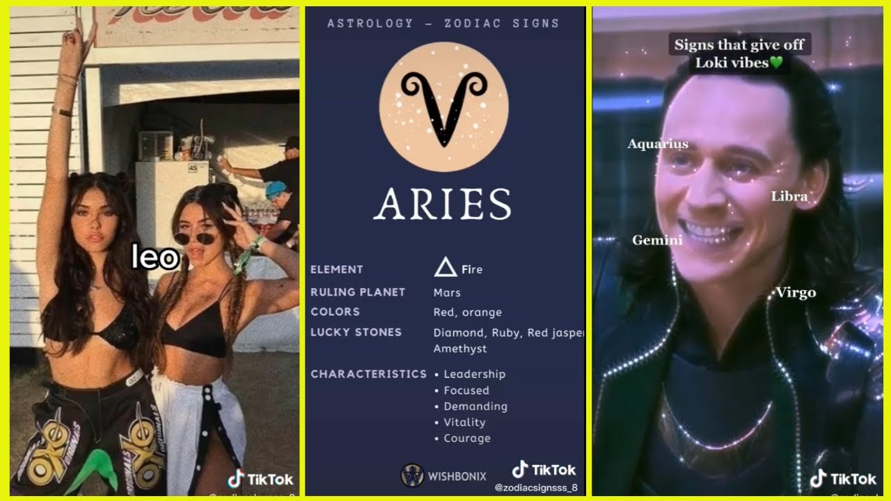 Zodiac Signs TikTok Compilation Zodiac Facts TikTok 113 YouTube