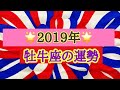 🌞2019年 牡牛座の運勢を春夏秋冬で占いました🌞どこまで進化できるかな?🌞タロット占い