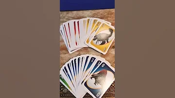 UNO Card Game Jurassic World Dominion Shorts Uno Cardgame Dinosaur Jurassicworld 