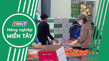 Xuất khẩu nông, lâm, thủy sản tăng nhờ ứng dụng khoa học, công nghệ | Nông nghiệp Miền Tây