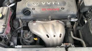 IMG 3783