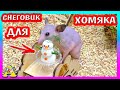 ВКУСНЫЙ ПОДАРОК для ХОМЯКА / НОВОГОДНЕЕ УГОЩЕНИЕ для Крысы / Своими руками / Alisa Easy Pets