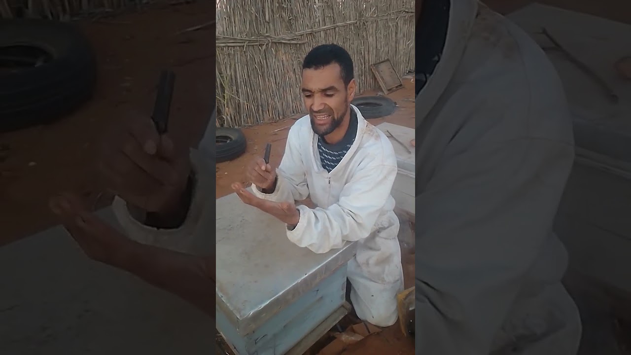 كيفية تعريف الامهات الكذيبة