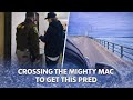 Crossing the Mighty Mac to get this pred 🌉