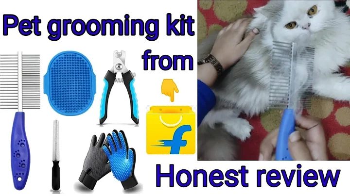 Video 10649031: pet bath brush, pet grooming, cat review