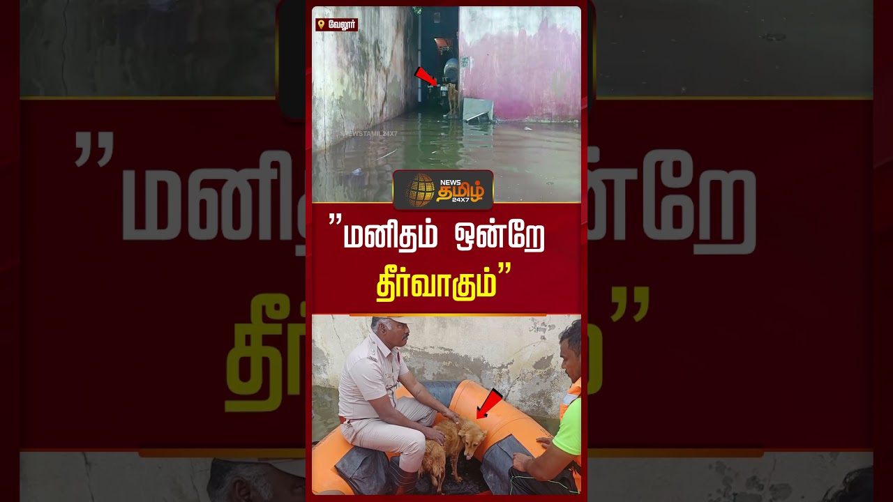 Vellore Rain News | Dog Rescue | வெள்ளத்தில் சிக்கி தவித்த நாய்.. படகில் சென்று காப்பற்றிய காவலர்