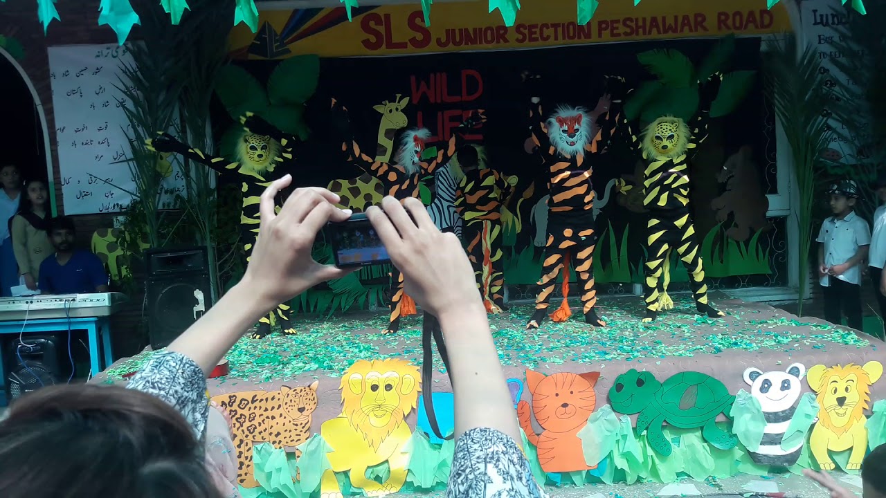 Skit on the topic of Save Tigers...Sls,peshawar road,Rwp