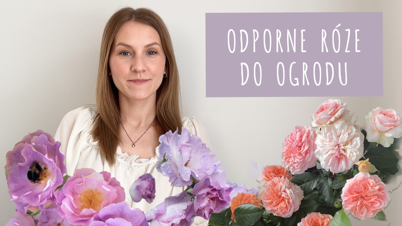Marzy mi się ściana róż! 🌹 Najpiękniejsze i odporne odmiany róż do ogrodu
