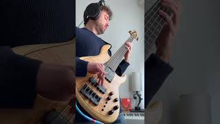 My Multi Rake Bass Technique (PDF on Patreon) #bass #bassplayer