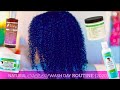 My Natural Curly Wash Day Routine (2020)
