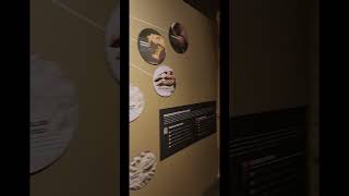 Madison Geology Museum