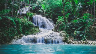 Relaxing Zen Music with Water Sounds • Peaceful Ambience for Spa, Yoga and Relaxation