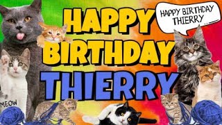 Happy Birthday Thierry Crazy Cats Say Happy Birthday Thierry Very Funny Youtube