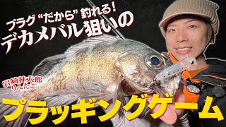 【プラグ“だから”釣れる！】デカメバル狙いのプラッギングゲーム！　りんたこ・岩崎林太郎 / ダイワ