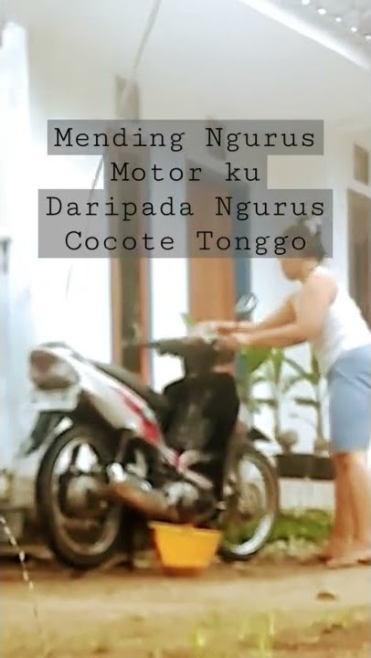 Story Wa, Ra Ngurus Cocote Tonggo #shorts #short