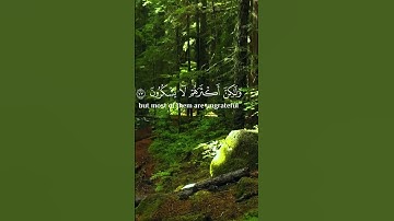 وَإِنَّ رَبَّكَ لَذُو فَضْلٍ عَلَى النَّاسِ  - محمد صديق المنشاوي - سورة النمل #المصحف #اكسبلور
