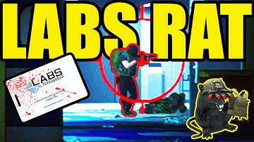 DEEP SEA FISHING *Labs*🐀 || Escape From Tarkov (Ratting/Extract Camping)