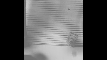 Jumping Microrobot - 6.5 mm Hop 500 fps