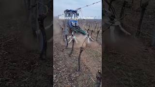 Windrower Rx300 For Vineyards || Made By Fa.ma Pruning Srl Italy || #Shorts