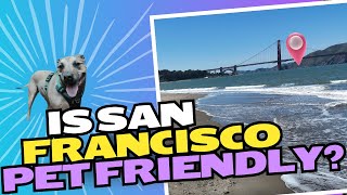 Is San Francisco Pet Friendly?!
