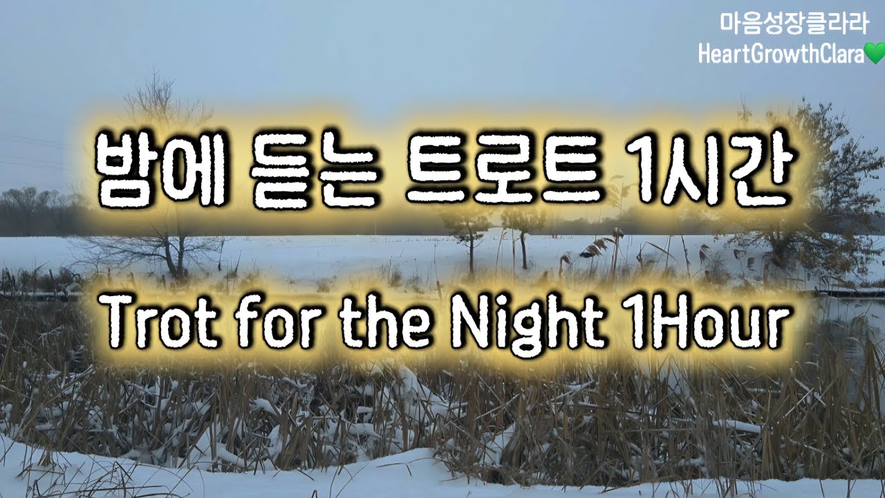 겨울 밤, 마음을 달래주는 트로트 1시간💚 | Comforting Trot Music for a Winter Night 1Hour💚