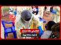 الكونغو الديمقراطية العالم في حالة استنفار لاحتواء سلالة إيبولا بونديبوجيو النادرة mp3