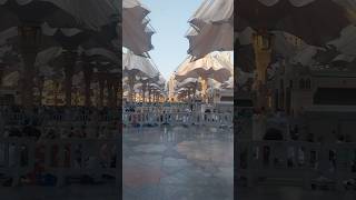 Mashallah 🤍new heart touching 💙 naat shareef #beautiful #love