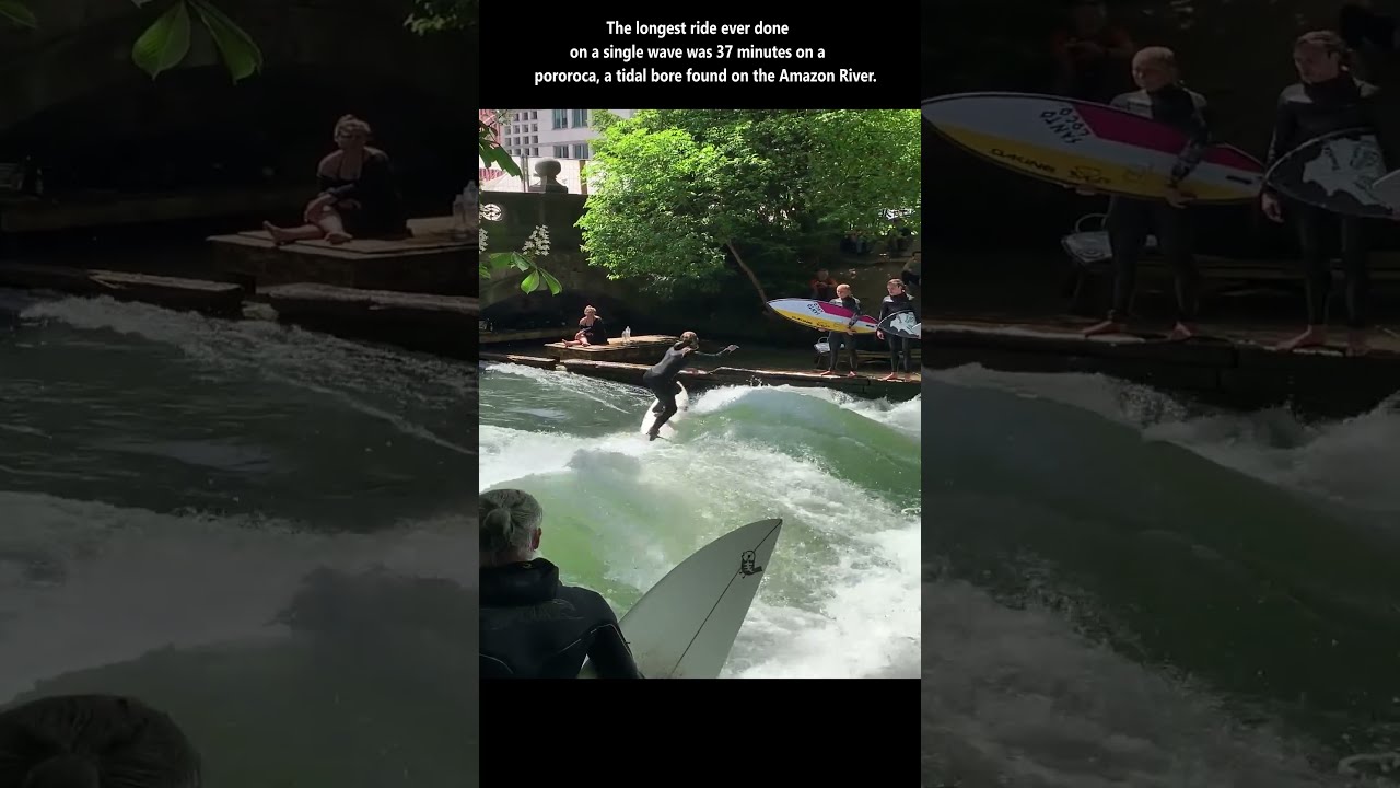 Five Gnarly Surfing Facts 🏄‍♂️ 