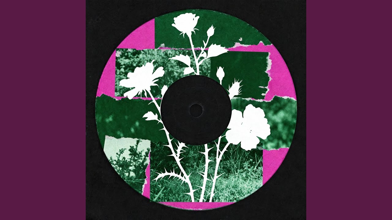 Watch In Bloom on YouTube Watch In Bloom on YouTube