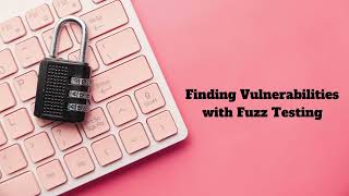 Details 20#Finding  Vulnerabilities with Fuzz Testing News