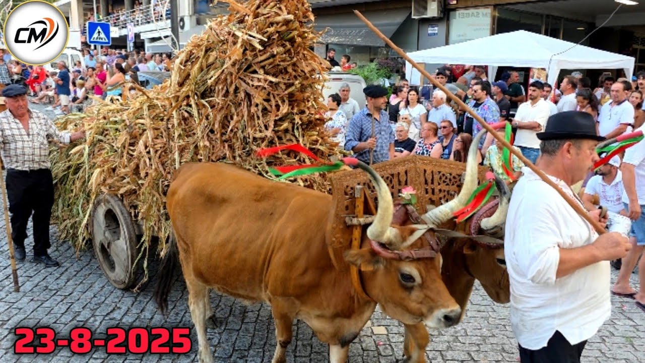 3ª PARTE DO CORTEJO ETNOGRÁFICO EM PONTE DA BARCA  23 DE AGOSTO DE 2025