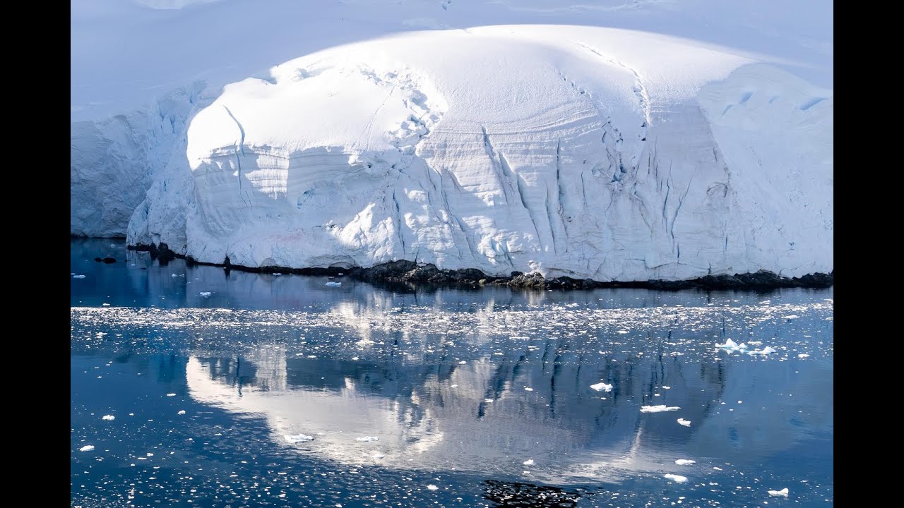 Antarktis und Falklandinseln 2024 - Fotoshow Teil 3