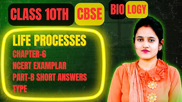 Life Processes Class 10 | NCERT Exemplar Short Answer Type Part B | Biology Board Exam Prep 2025