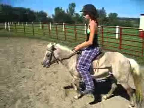 Miniature Pony Jumping!