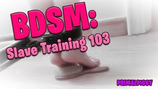 BDSM: Slave Training 103