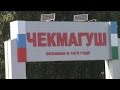 ДПС РБ. п.Чекмагуш и Весовой контроль...